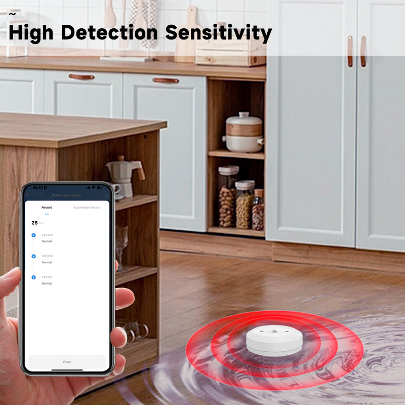 Tuya Zigbee2mqtt Water Immersi - Water Alarm Sensor incelemesi ve fiyatı